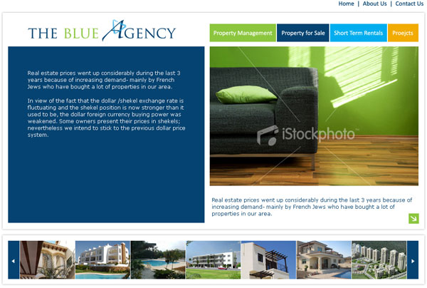 A scrrenshot of BlueAgency E-commerce project